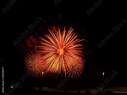 Summer night fireworks  Japan  Hyogo