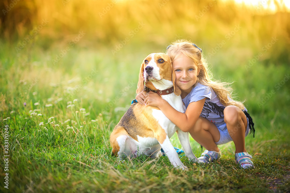 cute girl walks with her beagle puppy in the park at sunset, best friend