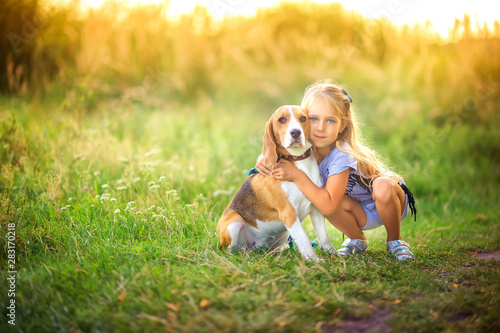 cute girl walks with her beagle puppy in the park at sunset, best friend