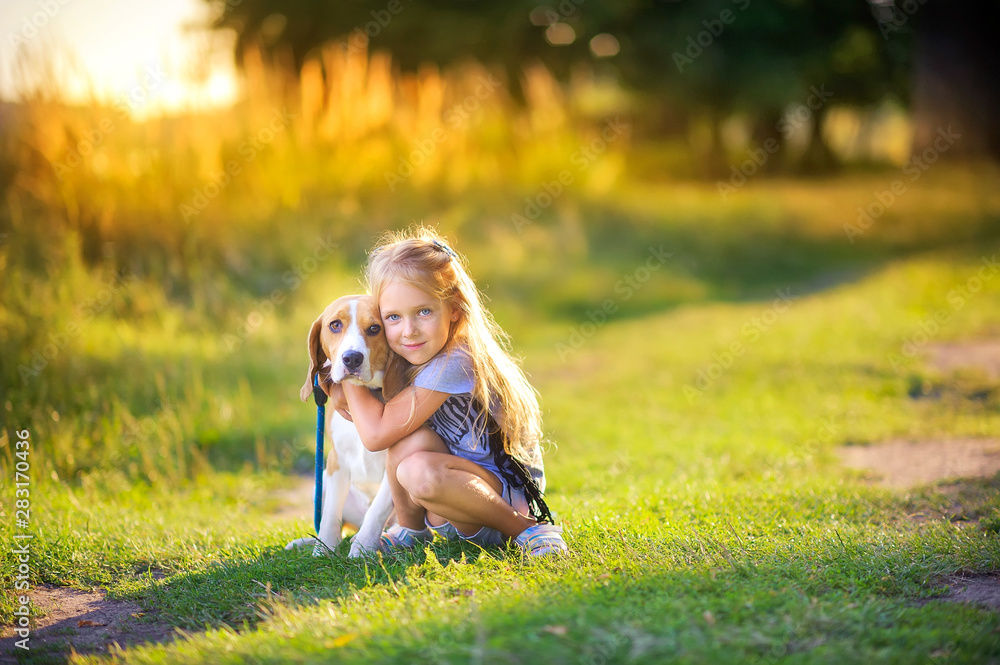 cute girl walks with her beagle puppy in the park at sunset, best friend