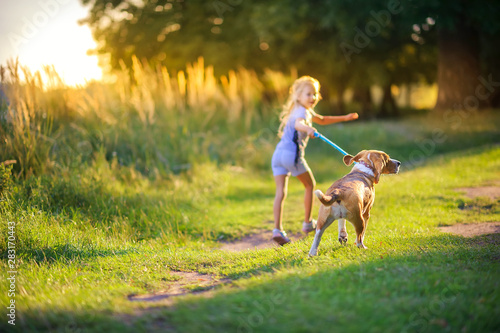 cute girl walks with her beagle puppy in the park at sunset, best friend