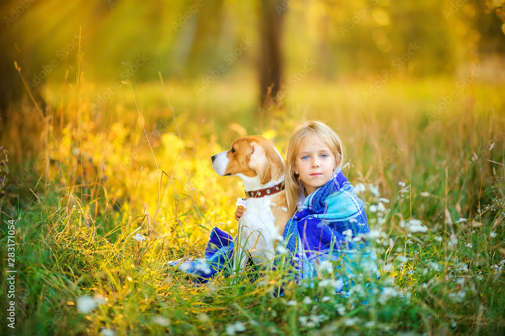cute girl walks with her beagle puppy in a park at sunset, sits behind a plaid blanket and hugs a dog, best friend cute girl walks with her beagle puppy in a park at sunset, sits behind a plaid blanket and hugs a dog, best friend