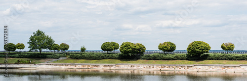 panoramic shot of green leaves on trees near pond against sky with clouds in summer