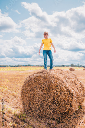 British red-haired cheerful boy stands on a haystack in the field and inspects his farm holdings