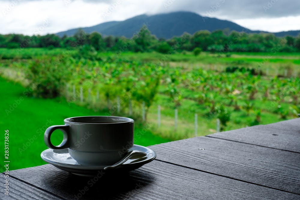 A cup of coffee. Background bokeh farm and mountain.