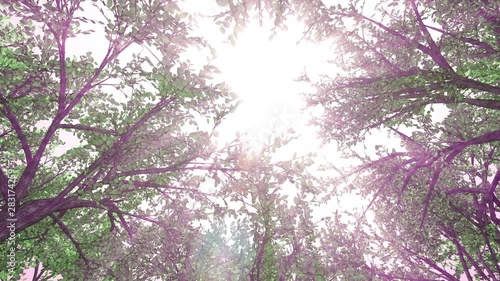 Wallpaper Mural 緑の森_上向き_回転_ループ_ピンク Torontodigital.ca