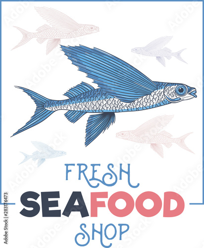 Exocoetidae or Flying fish hand drawing