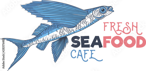Exocoetidae or Flying fish hand drawing