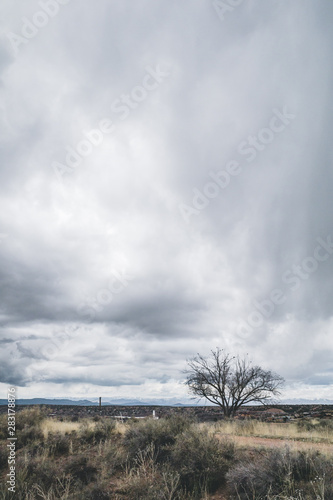 Desert landscape near Santa Fe  New Mexico  USA