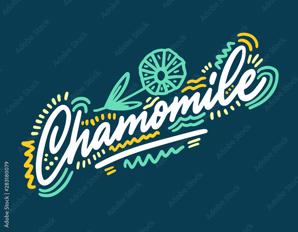 Chamomile vector illustration.Vector set of element for advertising, packaging design of products. Chamomile vector illustration.Vector set of element for advertising, packaging design of products.
