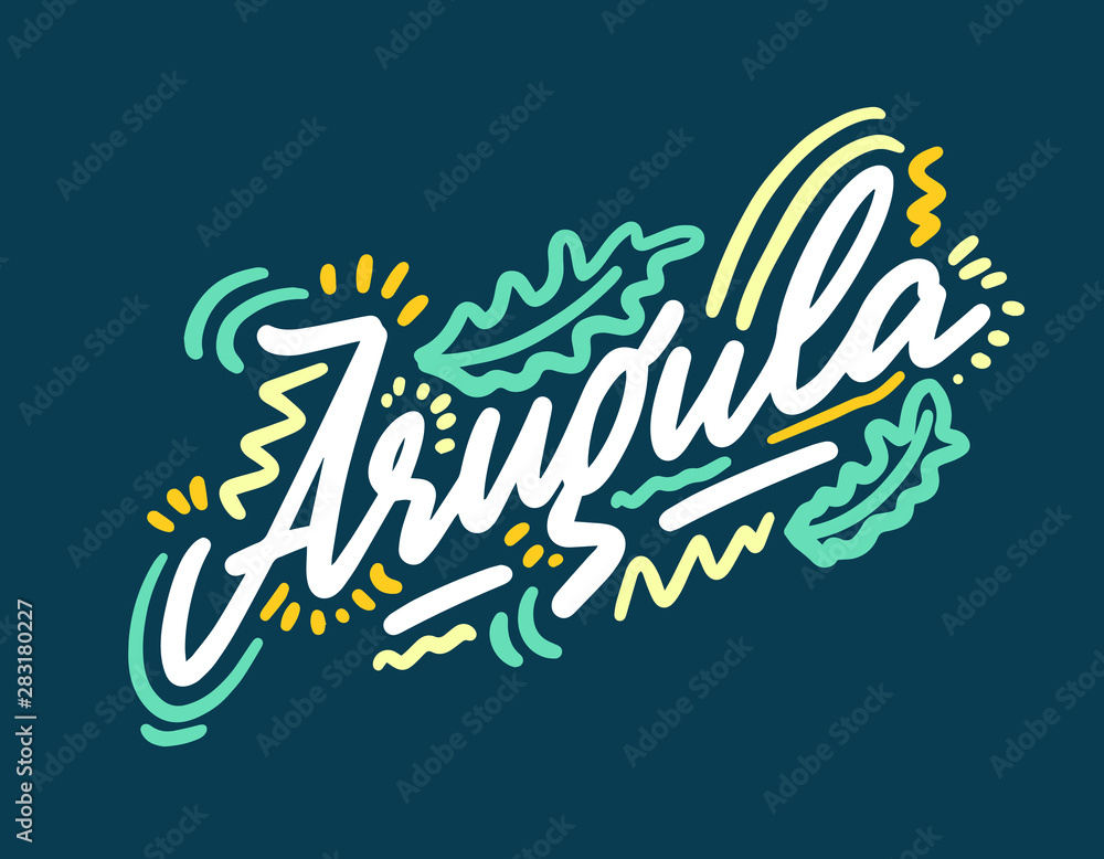 Arugula vector illustration.Vector set of element for advertising, packaging design of products. Arugula vector illustration.Vector set of element for advertising, packaging design of products.