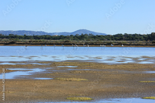 ria formosa