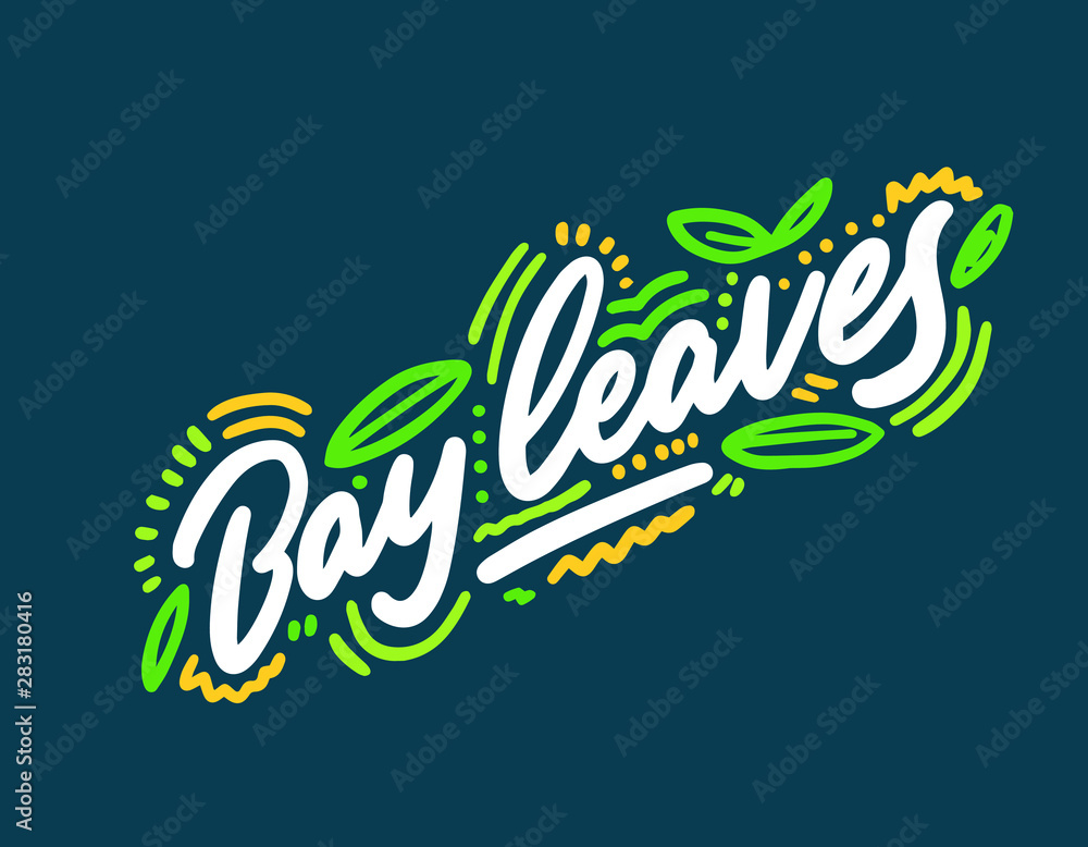 Bay leaves vector illustration.Vector set of element for advertising, packaging design of products. Bay leaves vector illustration.Vector set of element for advertising, packaging design of products.