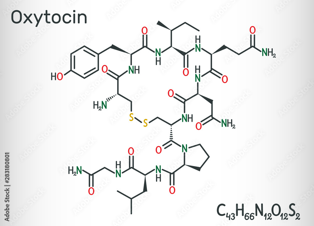 Oxytocin, Oxt, peptide hormone and neuropeptide molecule. Structural chemical formula Oxytocin, Oxt, peptide hormone and neuropeptide molecule. Structural chemical formula