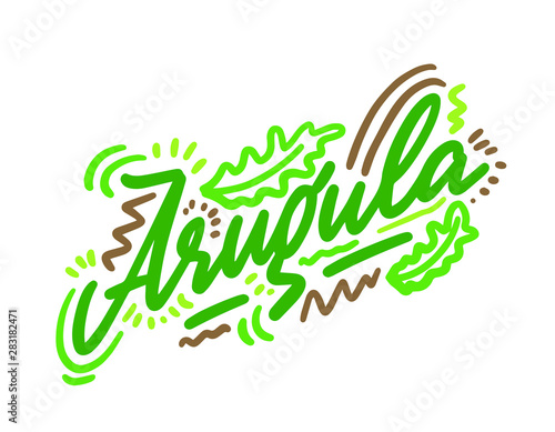 Arugula vector illustration.Vector set of element for advertising, packaging design of products.