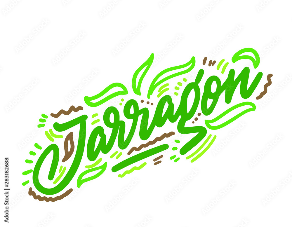 Tarragon vector illustration.Vector set of element for advertising, packaging design of products. Tarragon vector illustration.Vector set of element for advertising, packaging design of products.