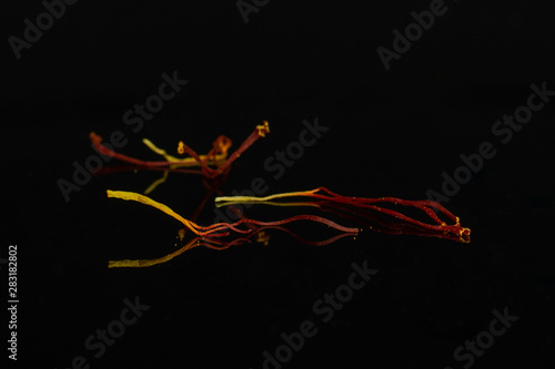 Group of three whole dry shaffron thread isolated on black glass