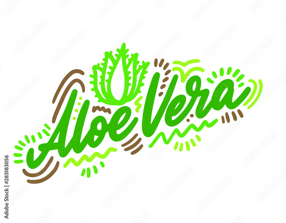 Fototapeta premium Aloe vera vector illustration.Vector set of element for advertising, packaging design of products.