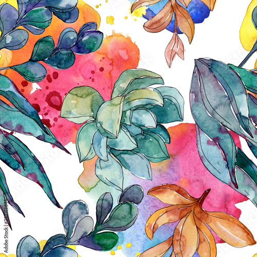 Succulents floral botanical flowers. Watercolor background illustration set. Seamless background pattern.