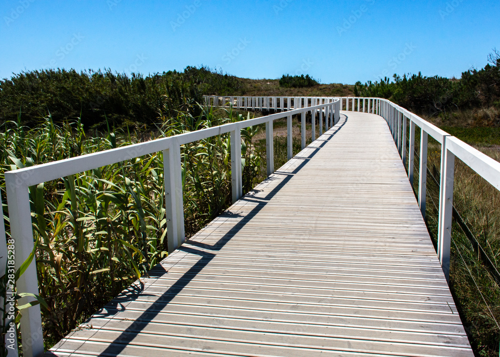 Coastal Boardwalk, Leading Lines, Portugal