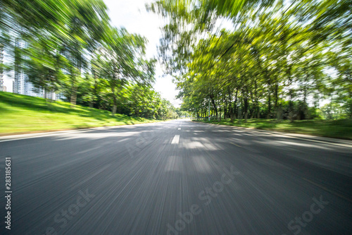 road in park