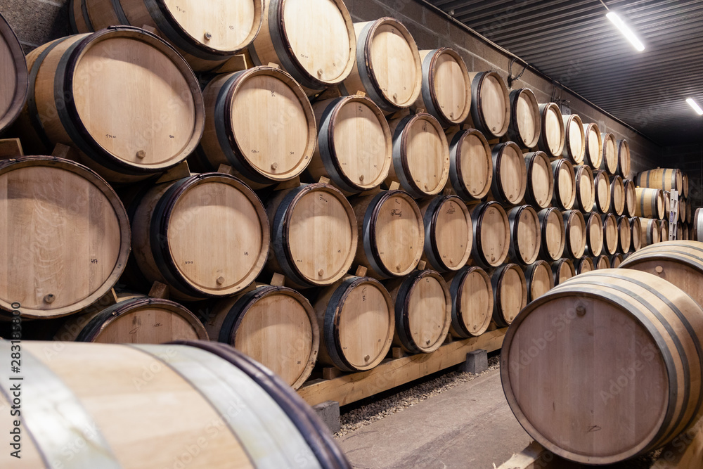 Wooden wine oak barrels stacked in straight rows in order, old cellar of winery, vault. Concept brewery background, professional degustation, winelover, sommelier travel, copyspace, place for text Wooden wine oak barrels stacked in straight rows in order, old cellar of winery, vault. Concept brewery background, professional degustation, winelover, sommelier travel, copyspace, place for text
