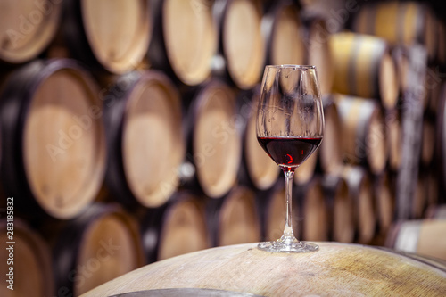 Fototapete Closeup glass with red wine on background wooden wine oak barrel stacked in straight rows in order, old cellar of winery, vault