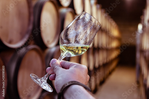 Closeup hand with glass of white wine on background wooden oak barrels stacked in straight rows in order, old cellar of winery, vault. Concept professional degustation, winelovers, sommelier travel