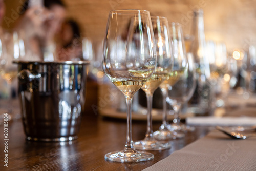 Closeup row of glasses with white wine stand on table, metal bucket for spitting. Concept professional vertical tasting great top white wines, sommelier training, school. Degustation in chateau