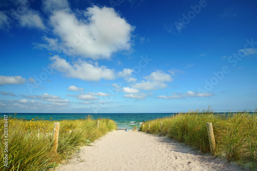 Fototapeta Naklejka Na Ścianę i Meble -  der Weg zum Strand durch die Dünen