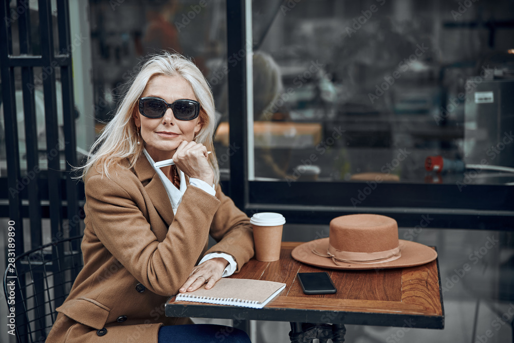 Fototapeta premium Mature woman with notebook in cafe stock photo