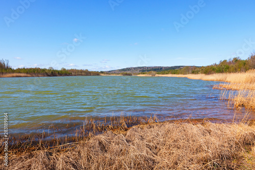 Lake with reeds