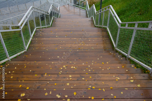  stairs after rain