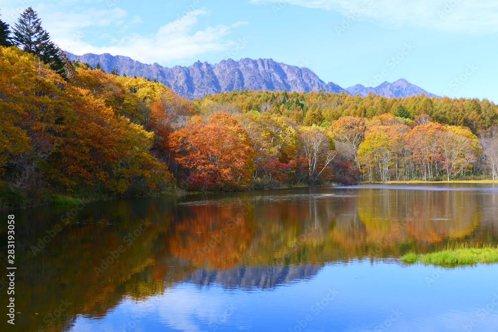 Naklejka premium 上信越国立公園。紅葉の小鳥ヶ池より戸隠連山を望む。長野 日本。１０月下旬。