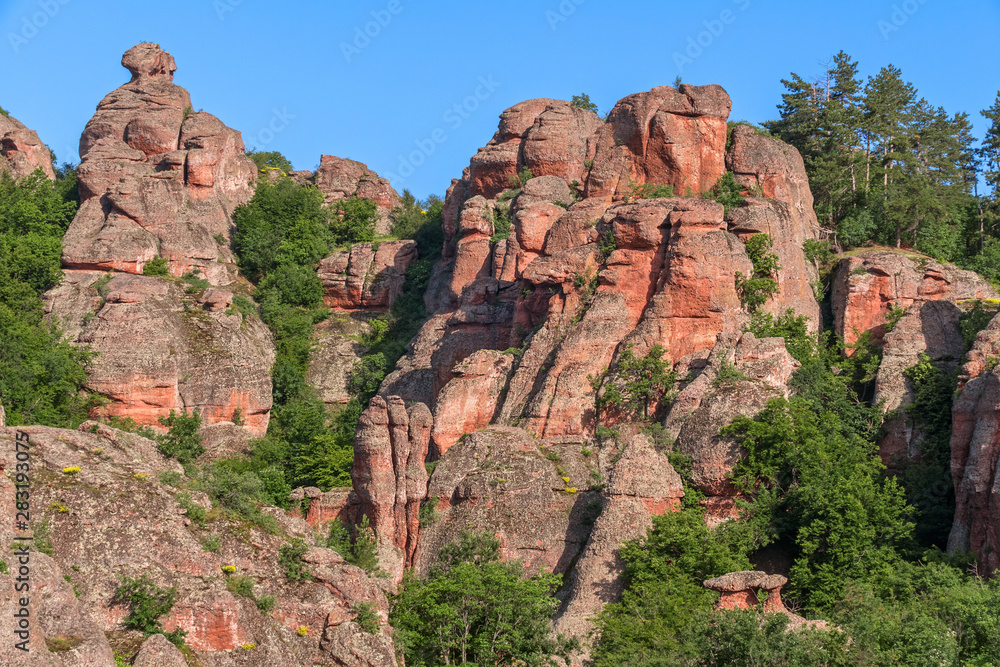 Magnificent rocks among the forest at sunrise. Belogradchik, Bulgaria.