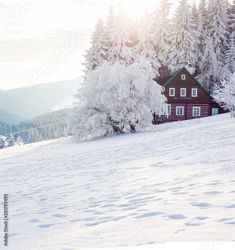 Winterlandschaft mit Hütte (ID: 283193493)