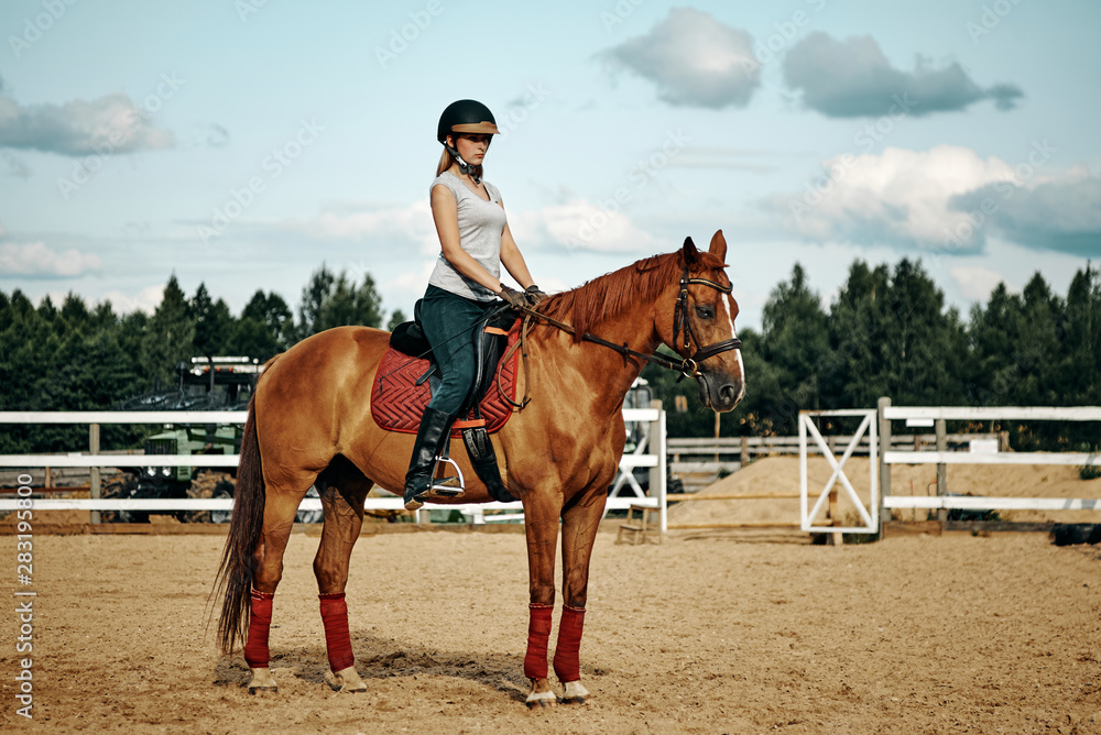 girl rider on horseback. horseback riding. girl rider on horseback. horseback riding.