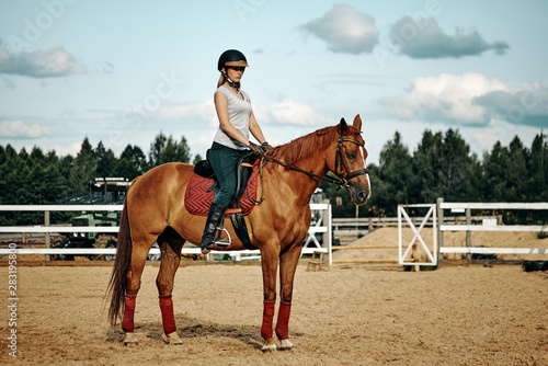 girl rider on horseback. horseback riding. © Olek