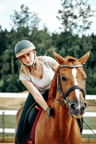 young girl rider in equipment on horseback. Horseback Riding.
