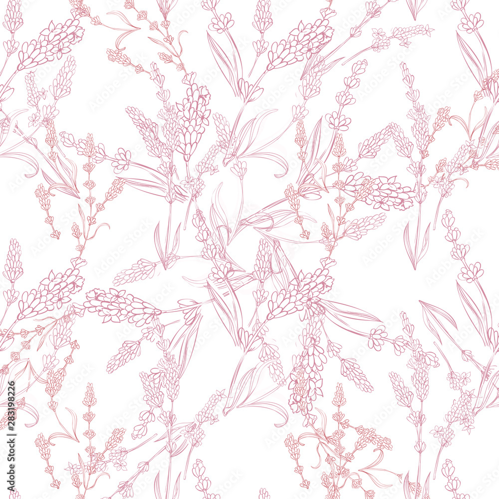 lavender natural hand drawn pattern native pashion herbal botanical decoration background lavender natural hand drawn pattern native pashion herbal botanical decoration background