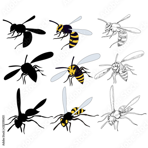  insect, wasp, bee set with sketch and silhouette © zolotons