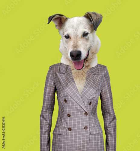 portrait of dog