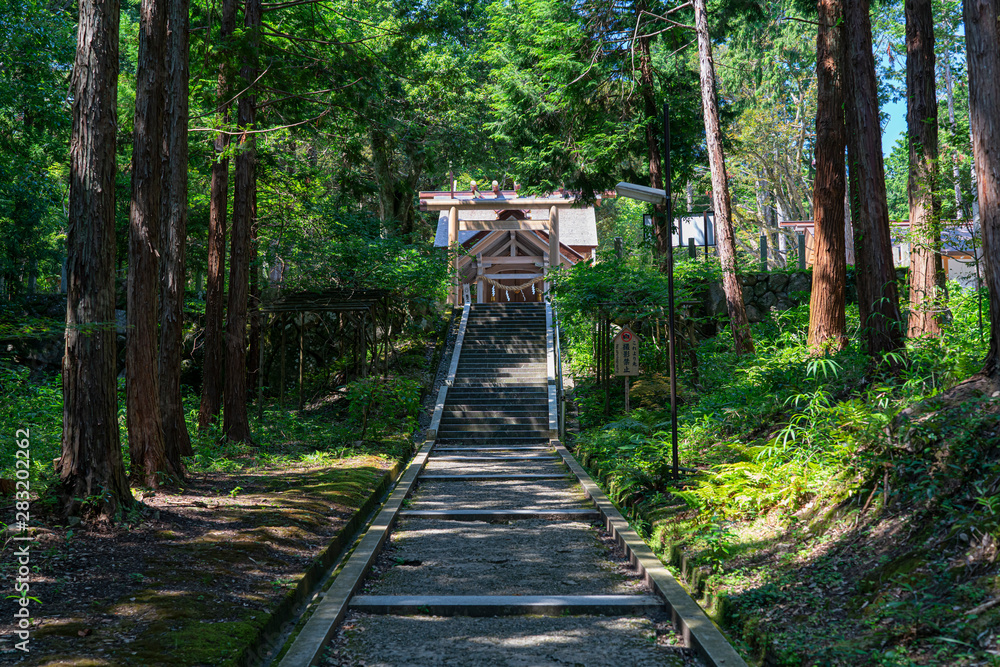 Kono, Manai Shrine in Kyoto, Japan