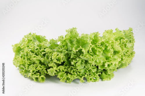 Fresh lettuce leaf for cooking food healthy or vegetable salad isolated on white background, it is good source of vitamin edible and delicious.