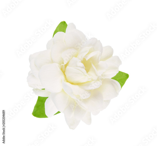 Fotografia, Obraz Thai jasmine flower with leaf isolated on white background.