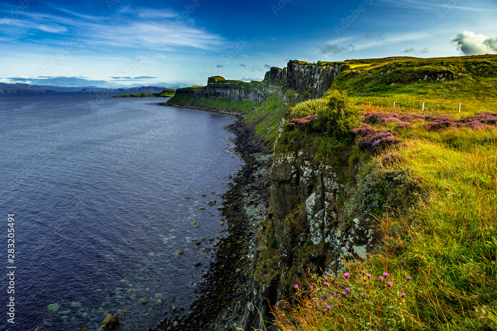 Coastal Landscape With Heather Near Kilt Rock On The Isle Of Skye In Scotland