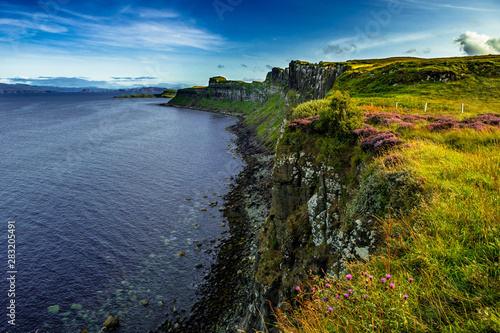 Coastal Landscape With Heather Near Kilt Rock On The Isle Of Skye In Scotland