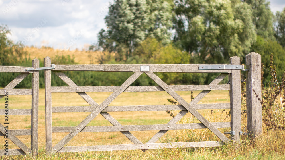 Fototapeta premium Wooden Gate for Dutch pasture