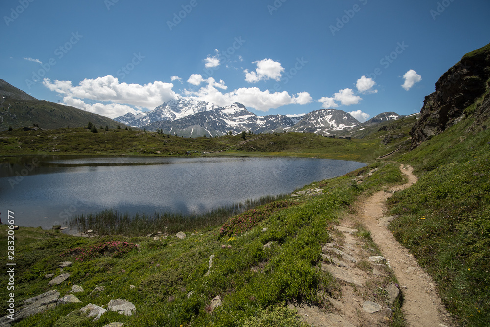 Obraz premium OLYMPUS DIGITAL CAMERA