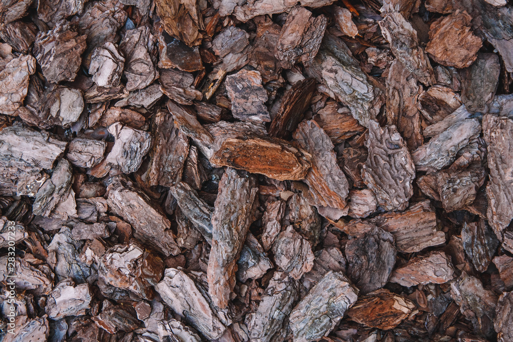 Background from coniferous tree bark pieces. Abstract background texture. Top view.